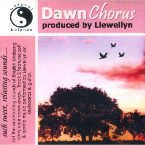 Dawn chorus. Dawn Chorus novel. Dawn Chorus новелла. Dawn Choir. Dawn Choir.. Dawn Chorus игра Lake.